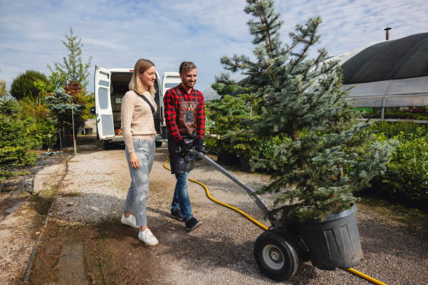Best Emergency Tree Removal  in Zimmerman, MN